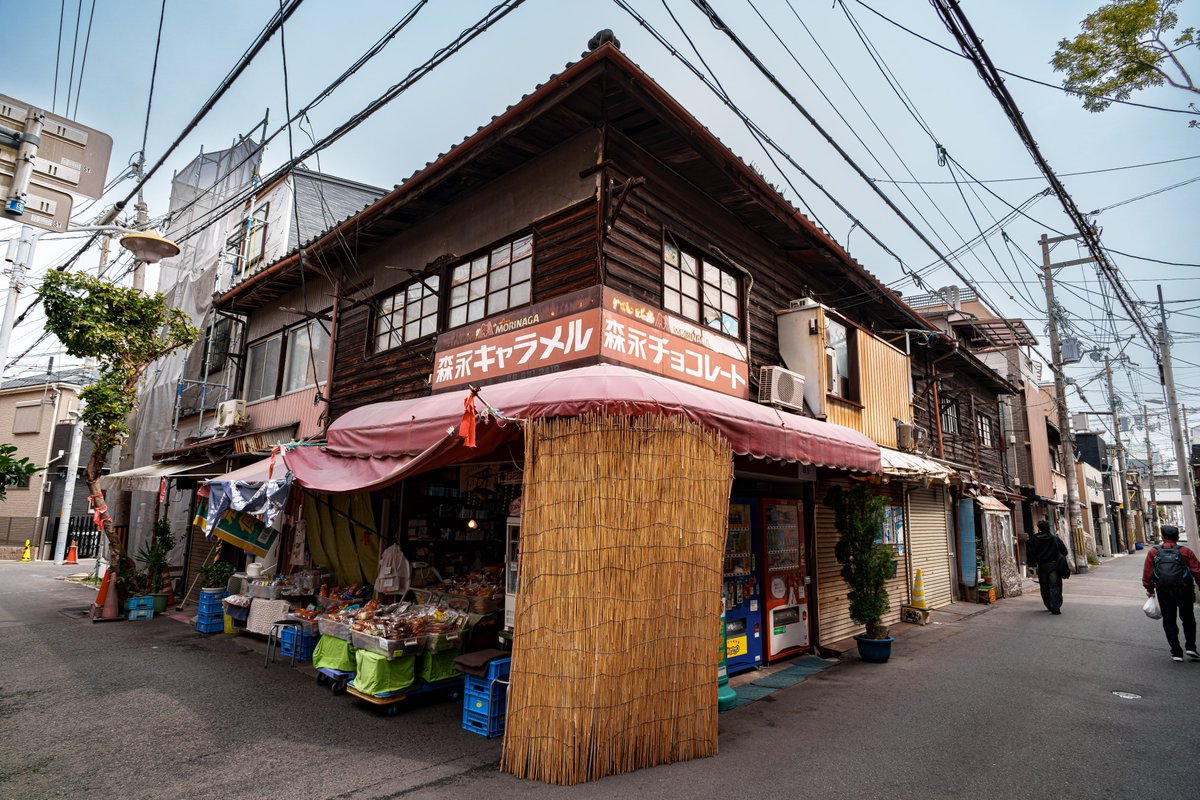 ネコ温泉♨ tweet media