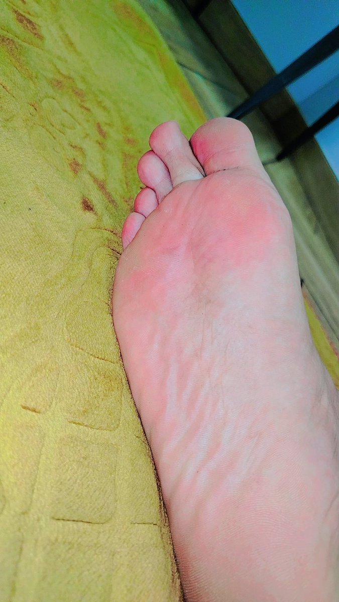 Pakistan tweet media