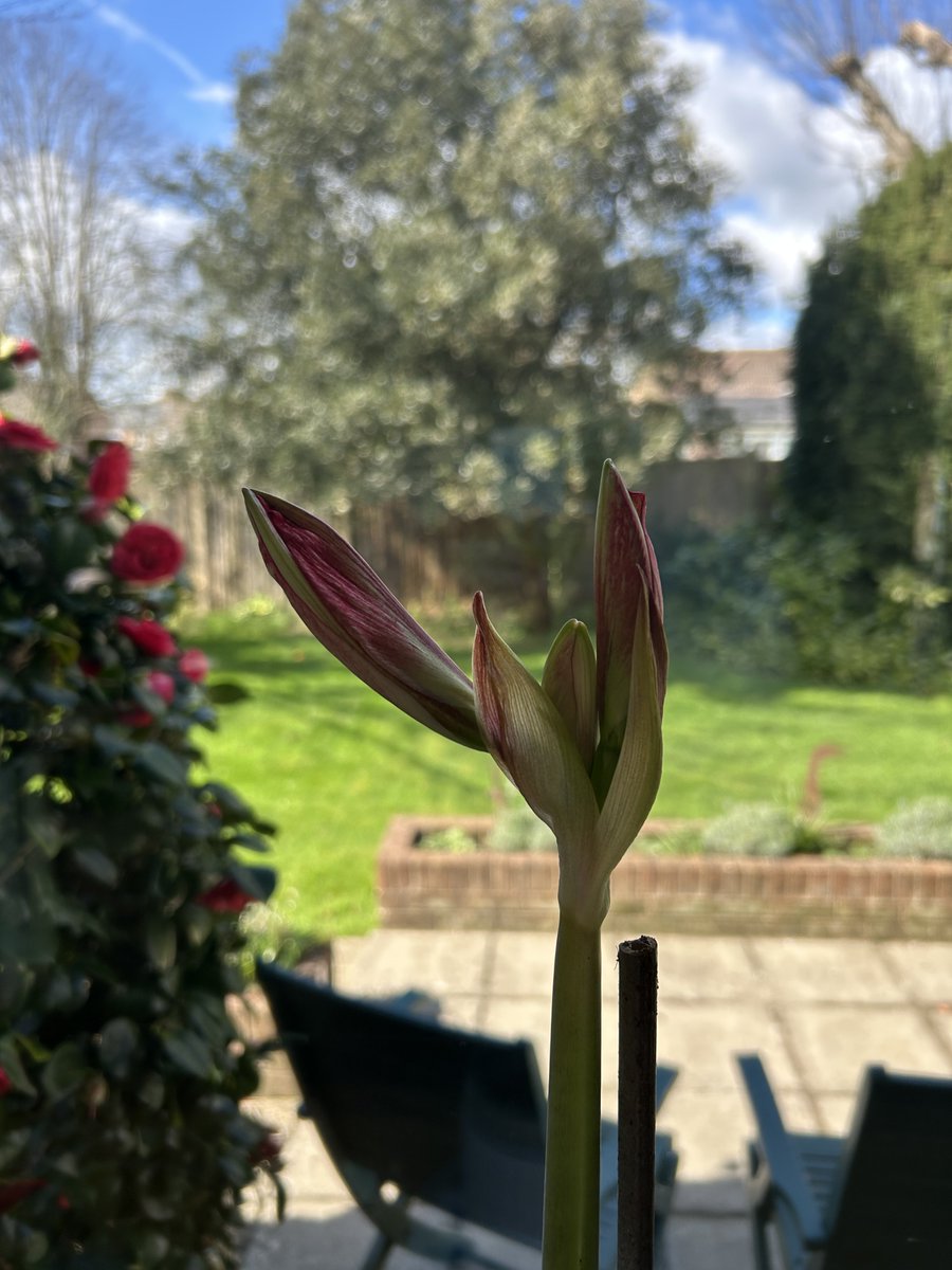 Greg Mosse tweet media