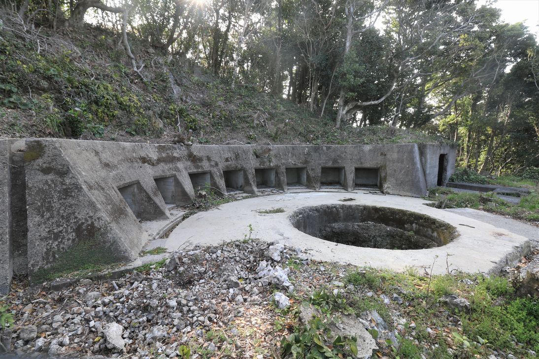 スイカxigua tweet media