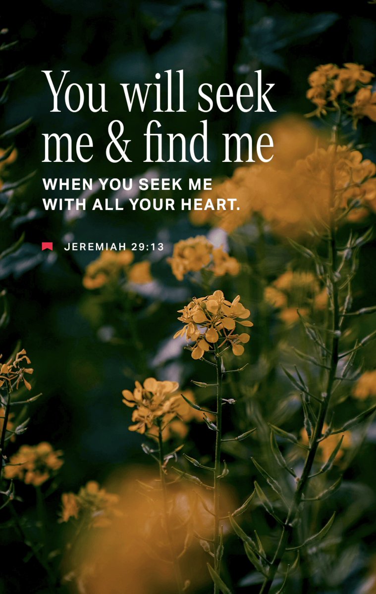 matlhomola morake tweet media