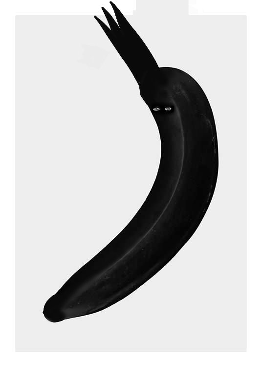 Ｒａｙａｎ🇩🇿 🇵🇸 tweet media