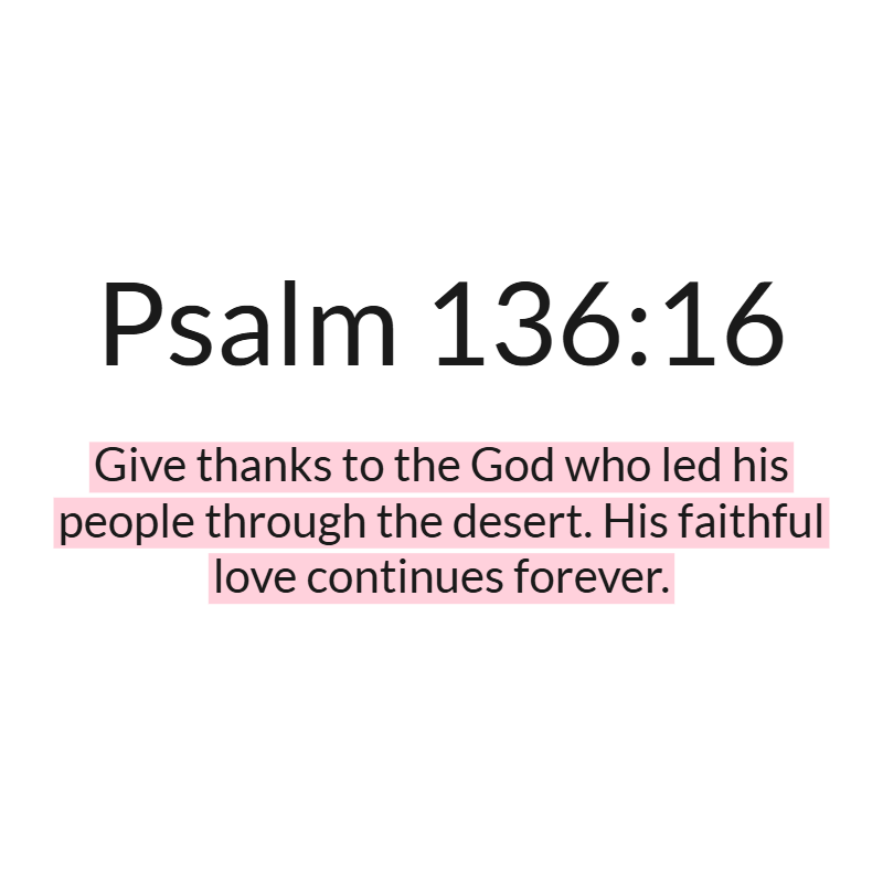 Jesus Insight tweet media