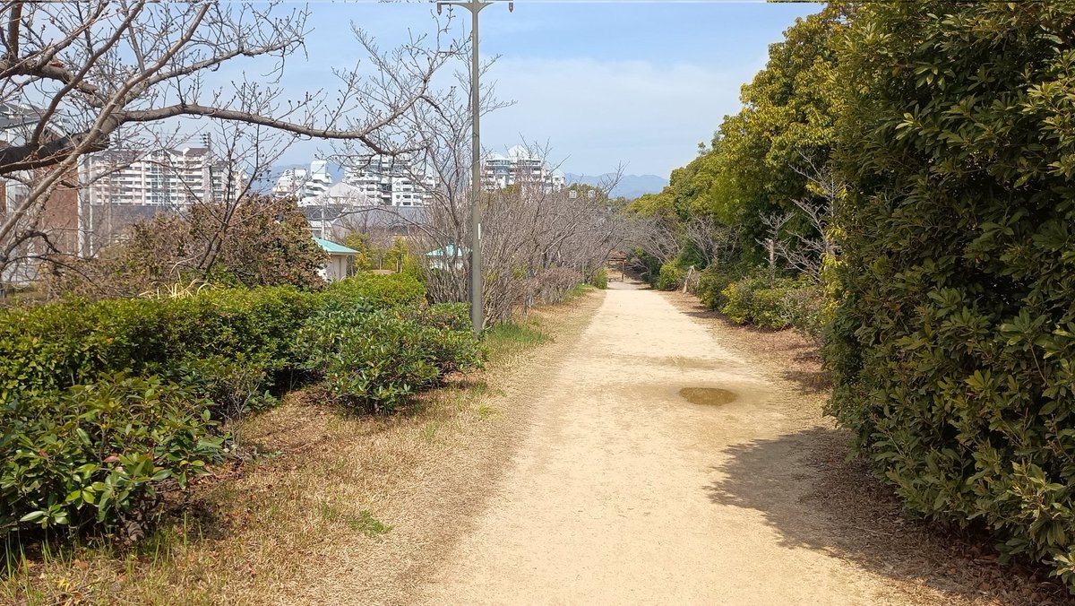 アミティエ ちゃこ tweet media