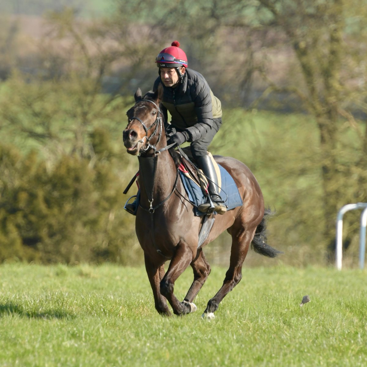 olivercoleracing tweet media