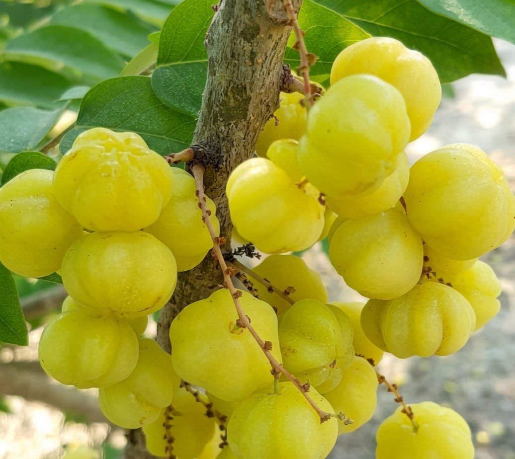 Menunggu tweet media