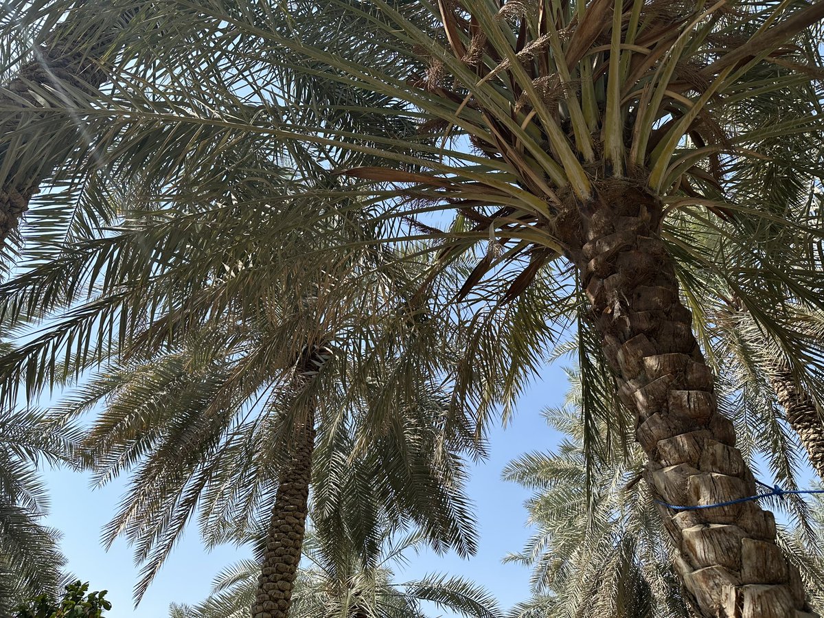 م. عبدالله الشايب tweet media