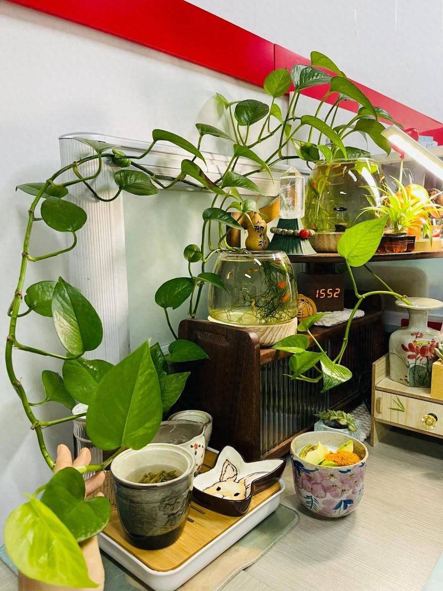 Cerebral #DiezTalker tweet media