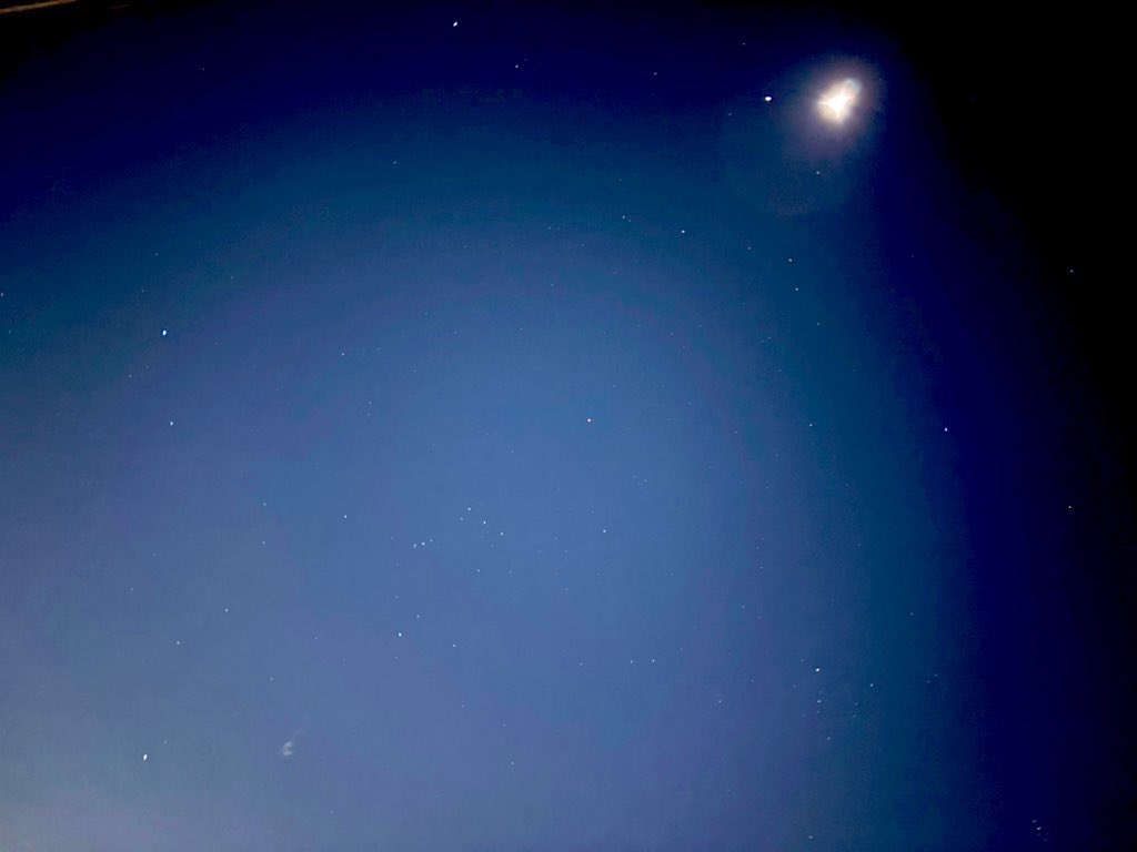 ユリイカ tweet media