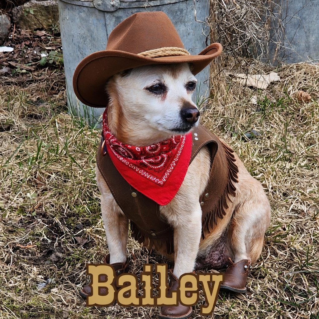 swetha mårtensson tweet media