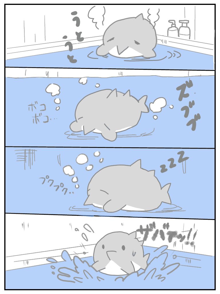 まるざめ@ゆるいサメ漫画🦈 tweet media