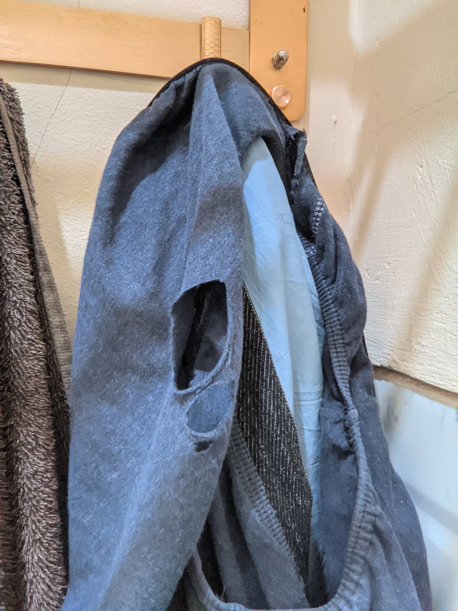 malle🐊 tweet media