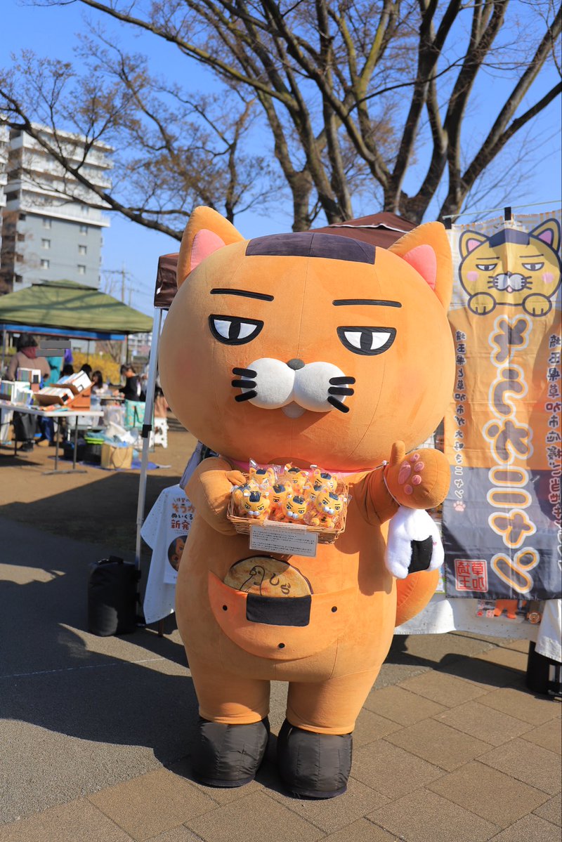 そうかニャン🍘ฅ(ↀᴥↀ)ฅT【公式】 tweet media