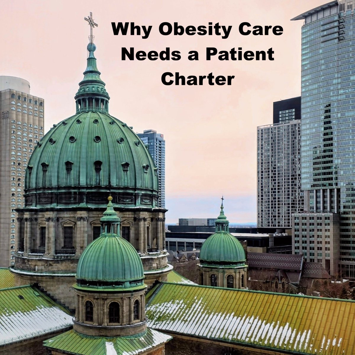 Yesterday in Montreal, <a href="/ObesityCan/">Obesity Canada</a>  convened patient advocates from all over the world to develop a patient charter for #ObesityCare. Here's why that's so important.
HT: <a href="/ArnoldCelo87983/">Sherlyn Celone-Arnold</a> <a href="/IanPatton55/">Ian Patton, PHD</a> <a href="/TheBariatricRD/">Jennifer Brown</a> 
conscienhealth.org/2026/03/26/why…