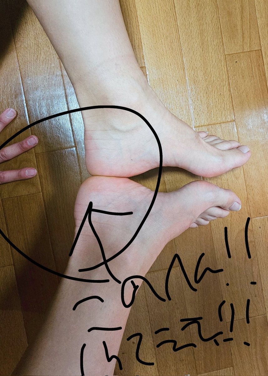 まんげつ🍵くも🐍_🐾に tweet media