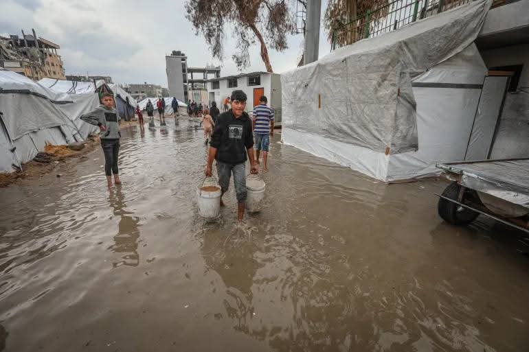 help cats tweet media