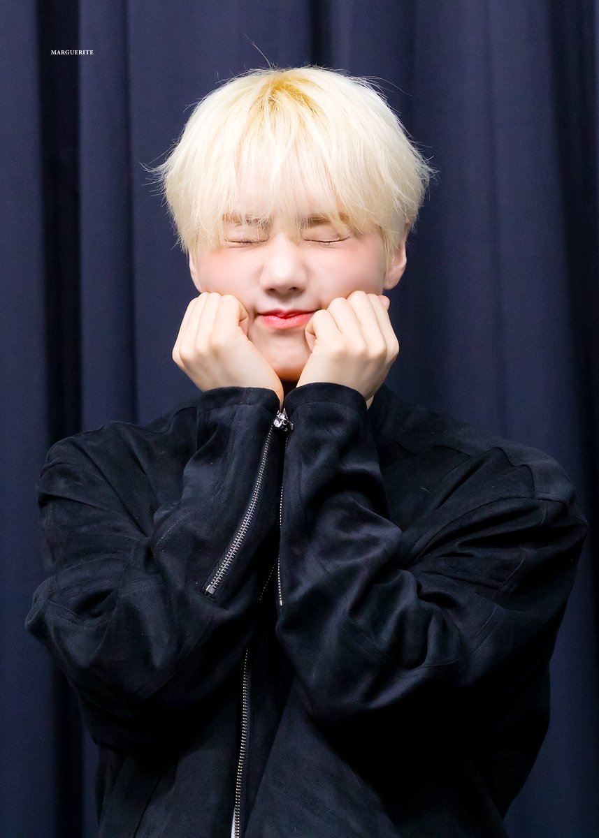 MARGUERITE tweet media