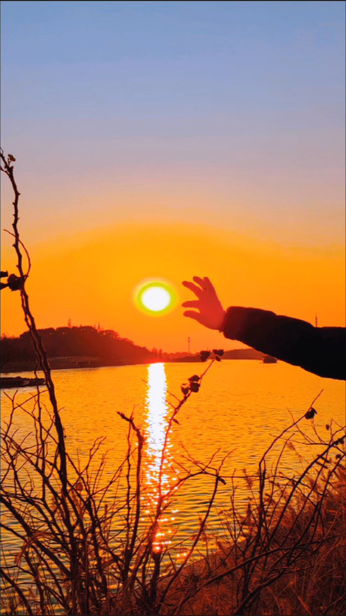 Rachel Watts tweet media