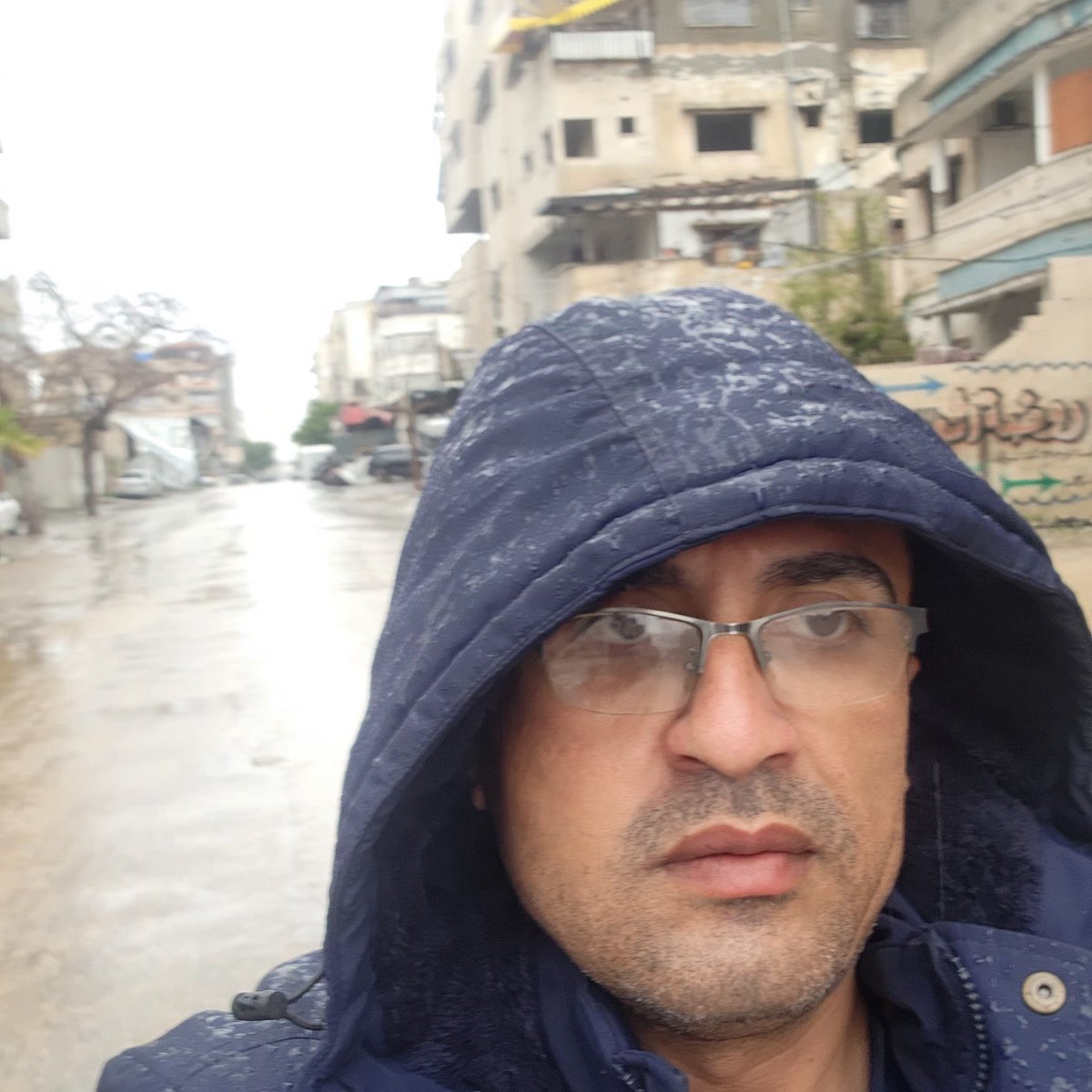 help cats tweet media