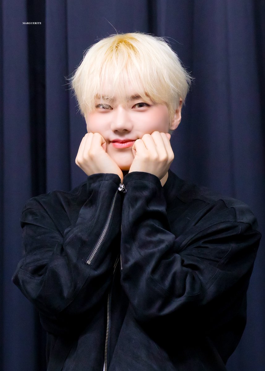 MARGUERITE tweet media