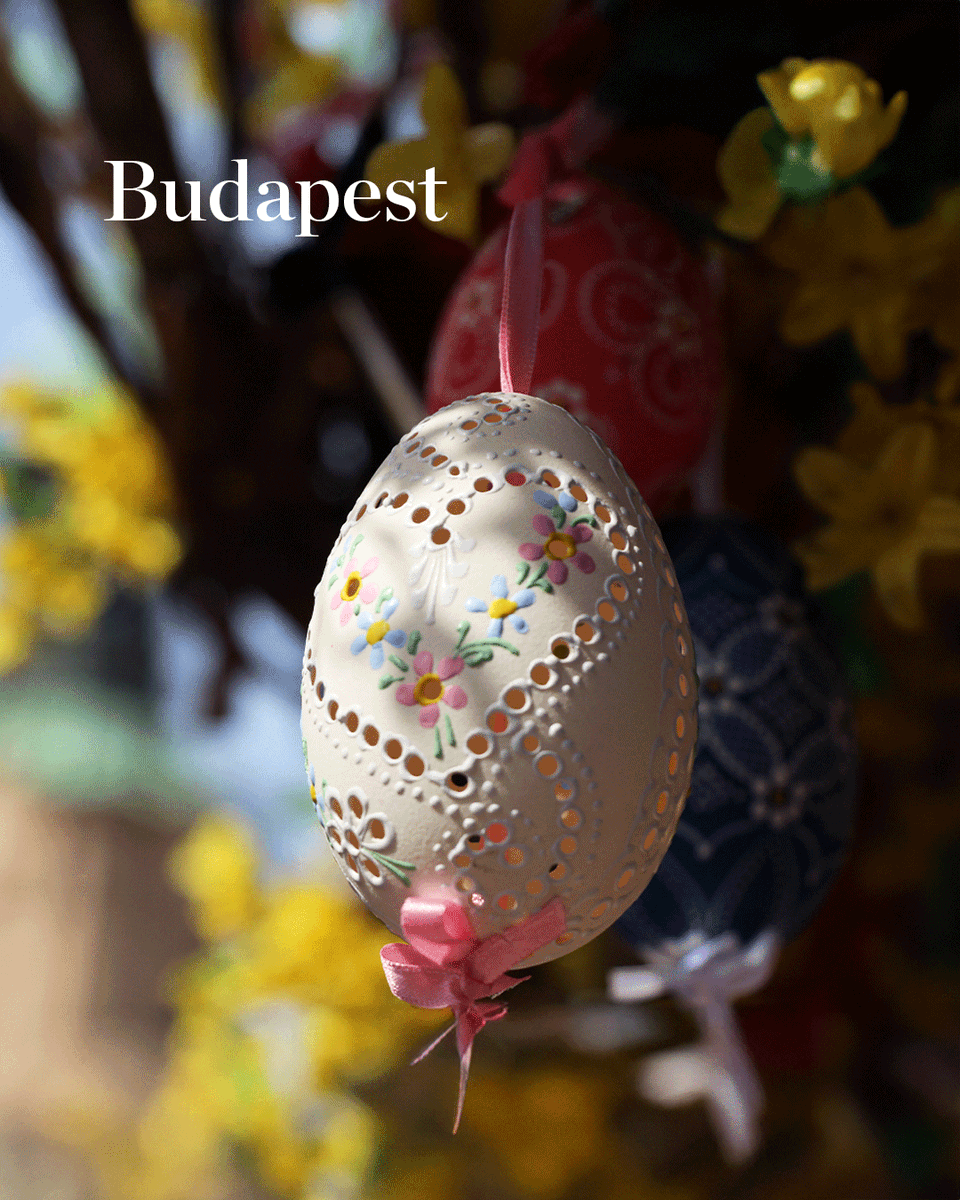 NH Collection tweet media