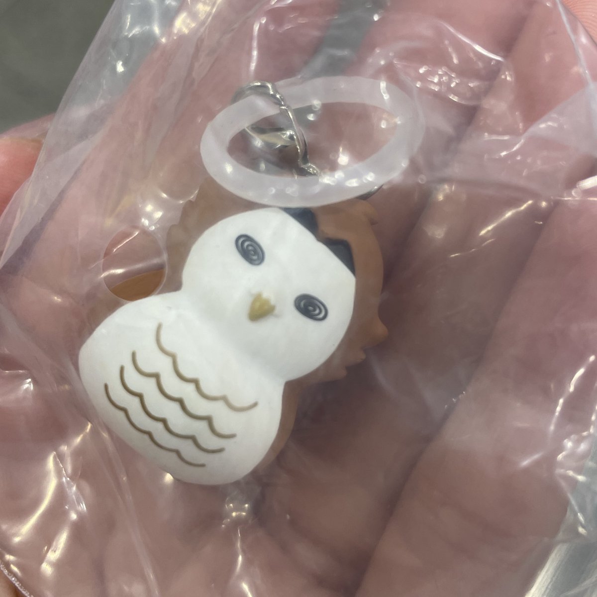 suzu@取引垢 tweet media