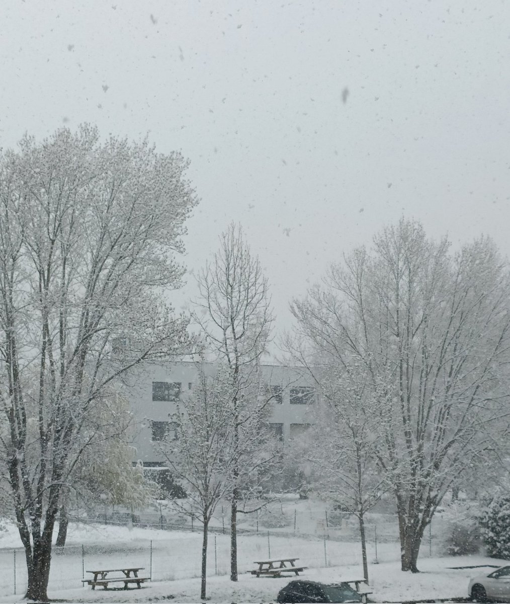 La Bobette tweet media