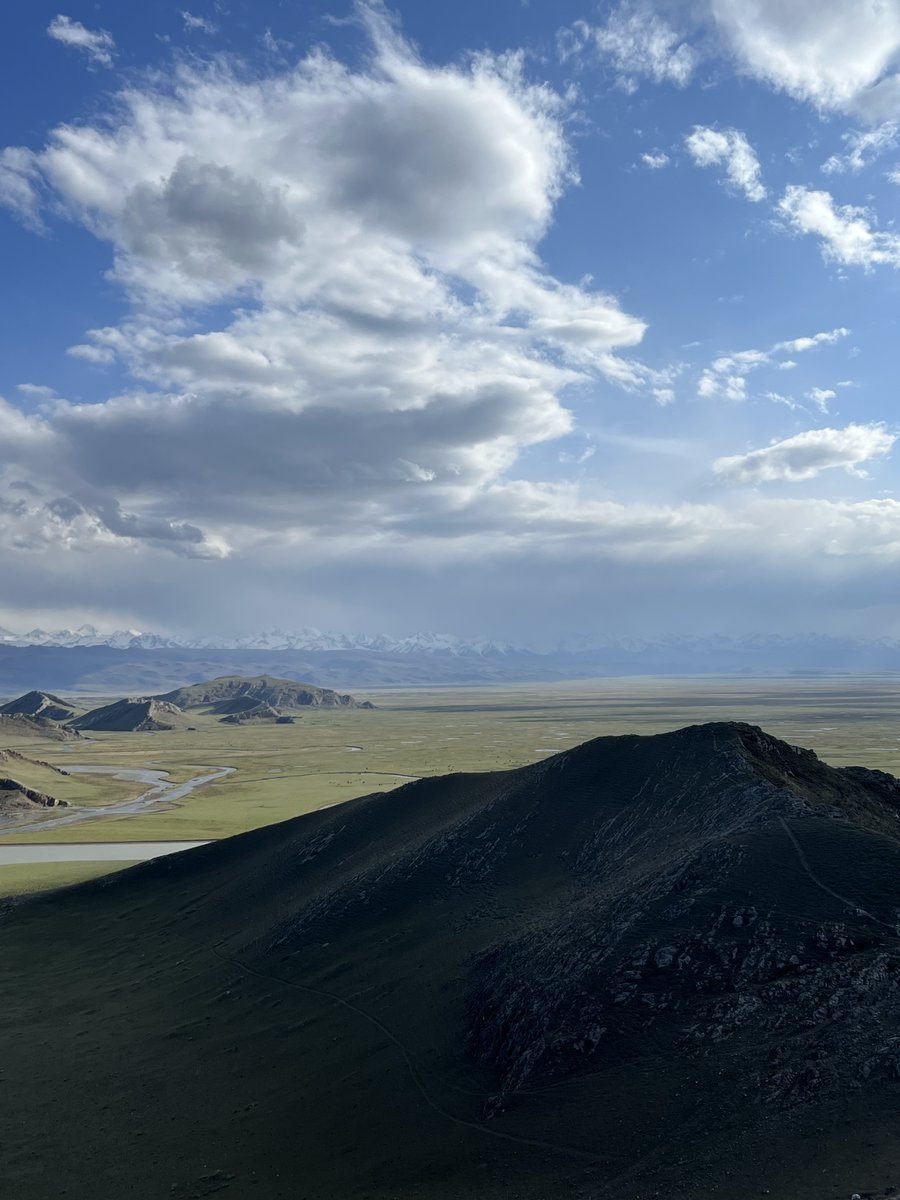 cheick gocche tweet media