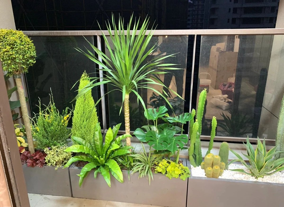 Ninuccino 3 tweet media