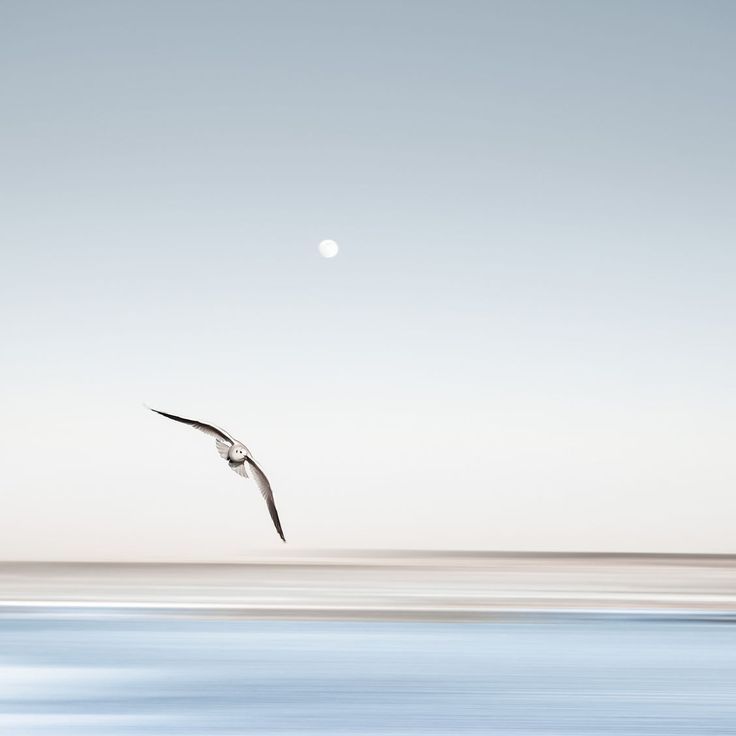 Jim Beattie tweet media