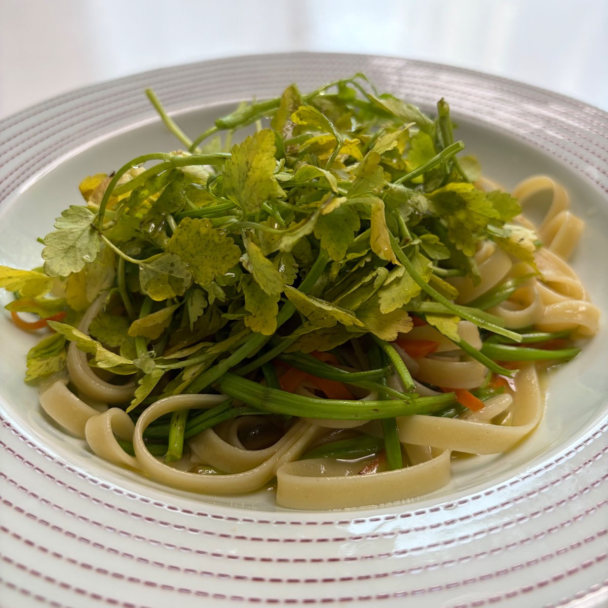 비건선생 tweet media