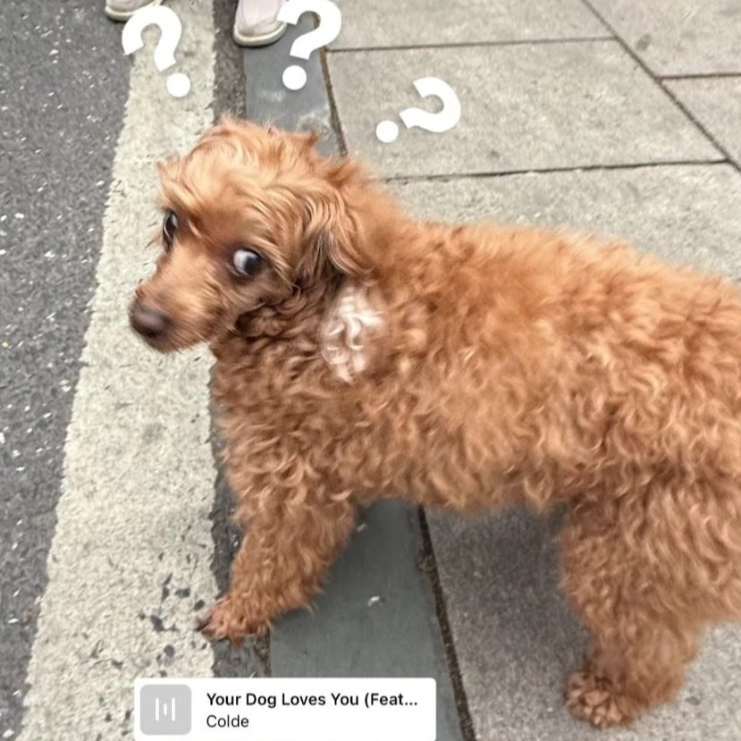 หม่ามี๊น้องไทโอ 🌻✨️ tweet media