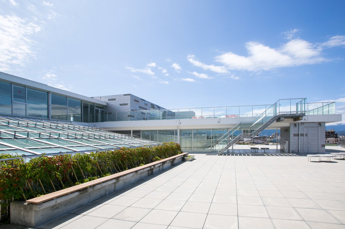 コスライ tweet media