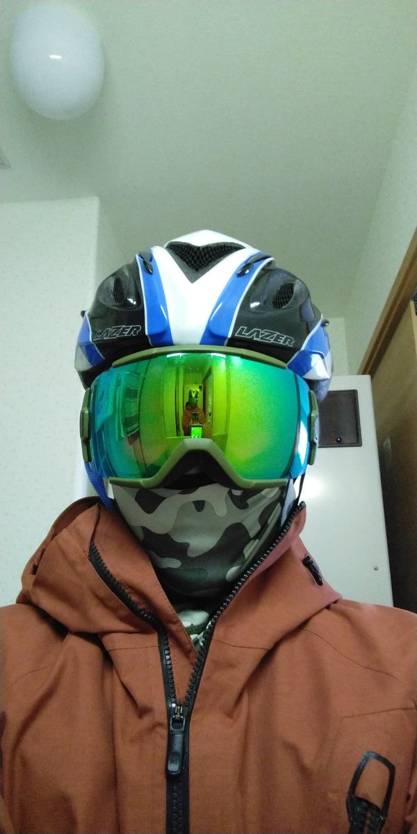 北のエゾのウコギ tweet media