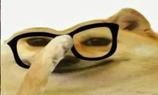 هرمس tweet media