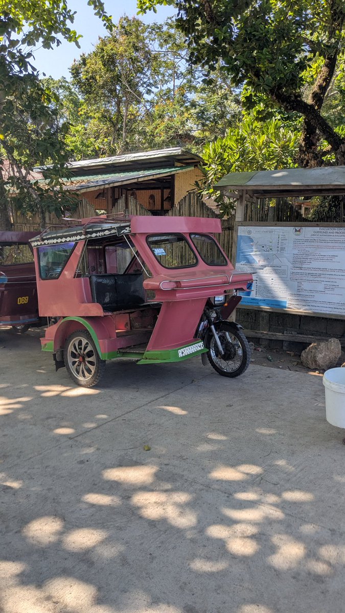 くみ🔰英語が話せる自信と自由を手に入れる🌈初心者🔰英語コーチ tweet media