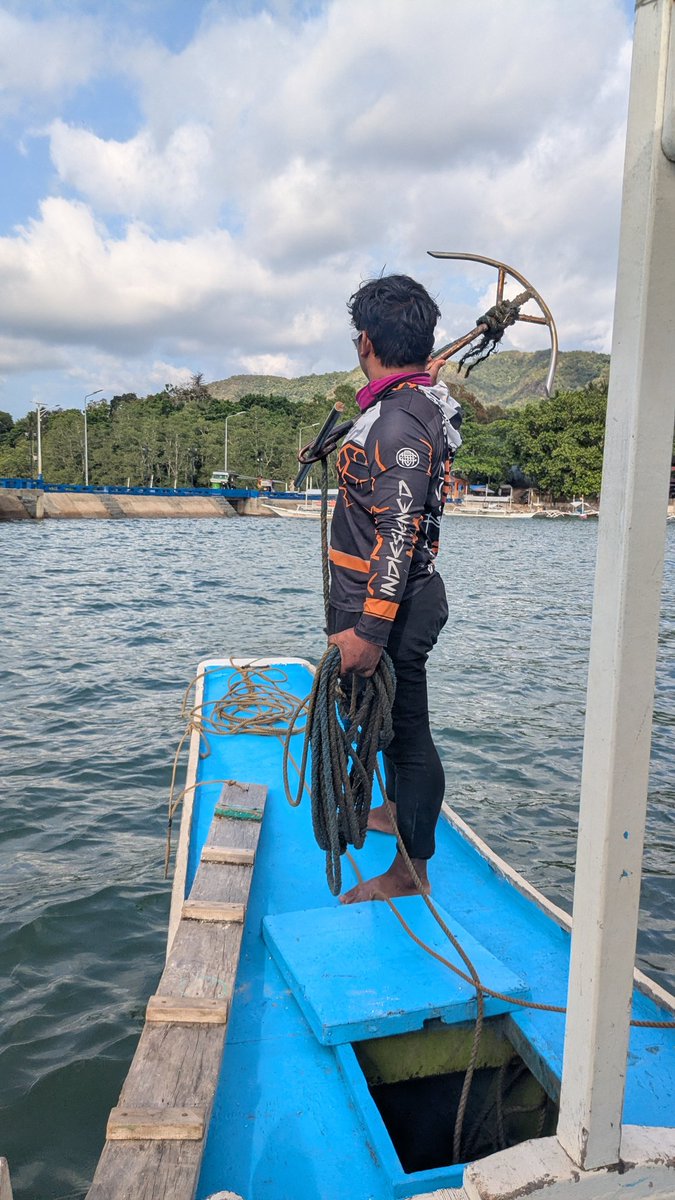 くみ🔰英語が話せる自信と自由を手に入れる🌈初心者🔰英語コーチ tweet media