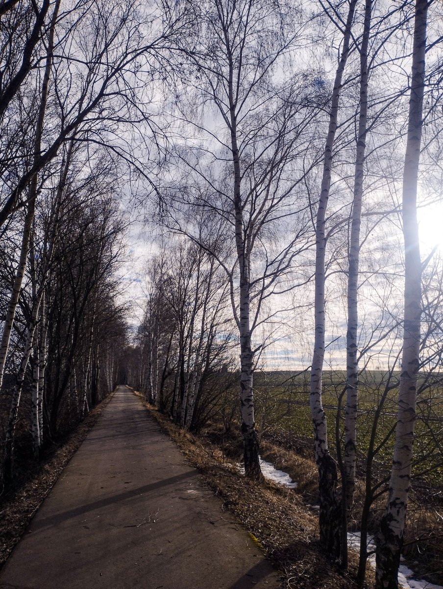 Becherzone tweet media