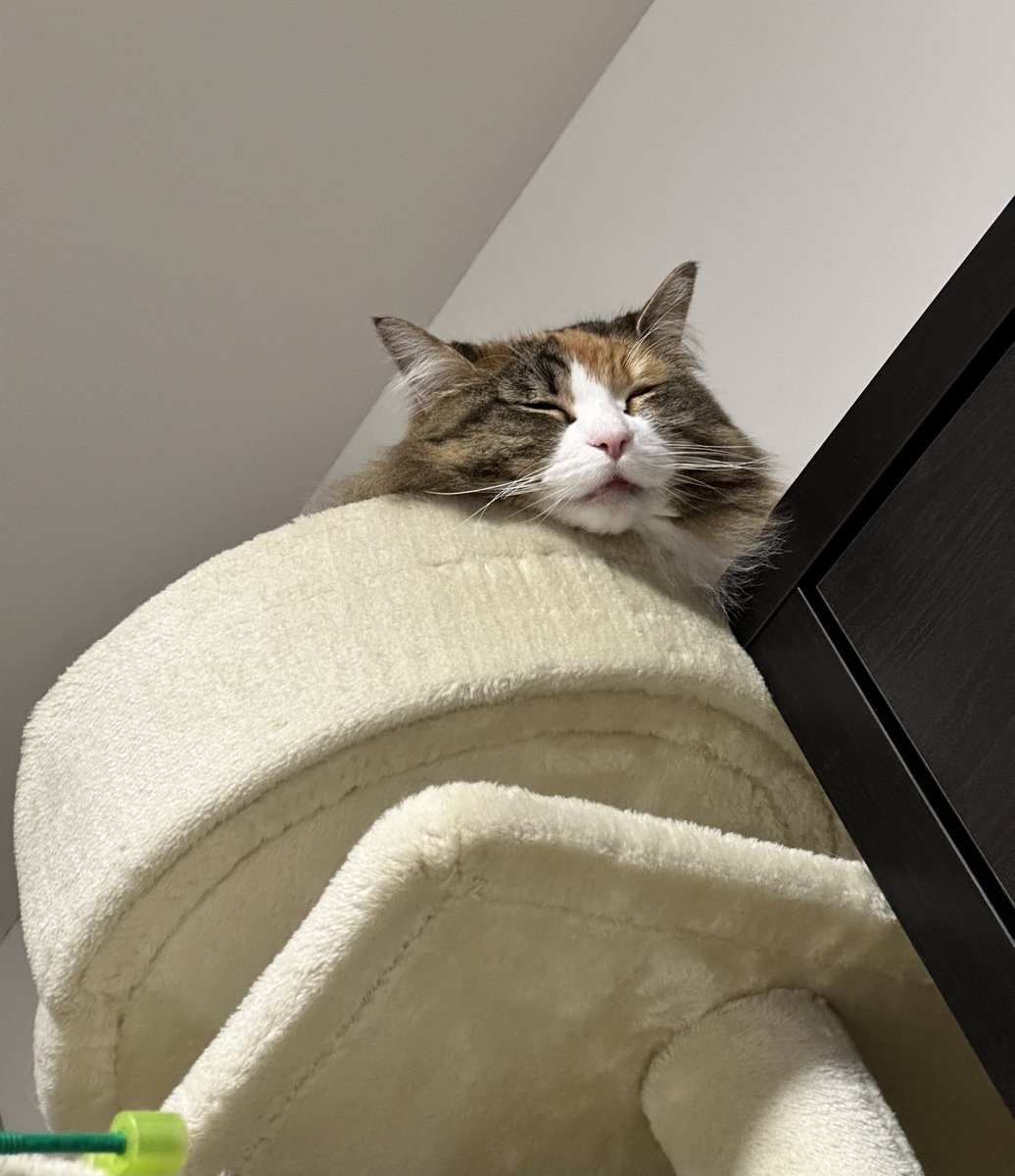 ˚*. テオ リタ クレ .*˚ tweet media