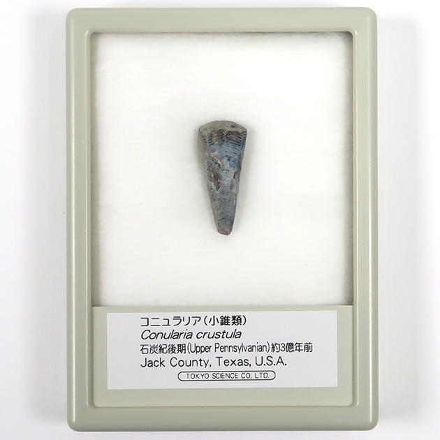 株式会社東京サイエンス tweet media