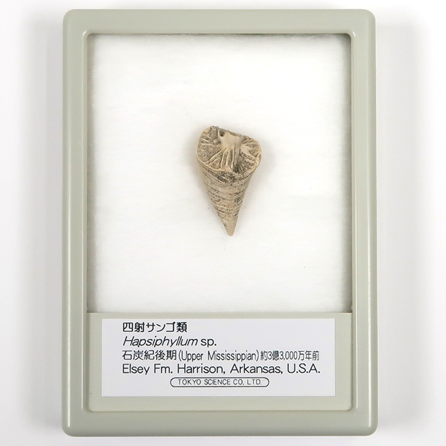 株式会社東京サイエンス tweet media