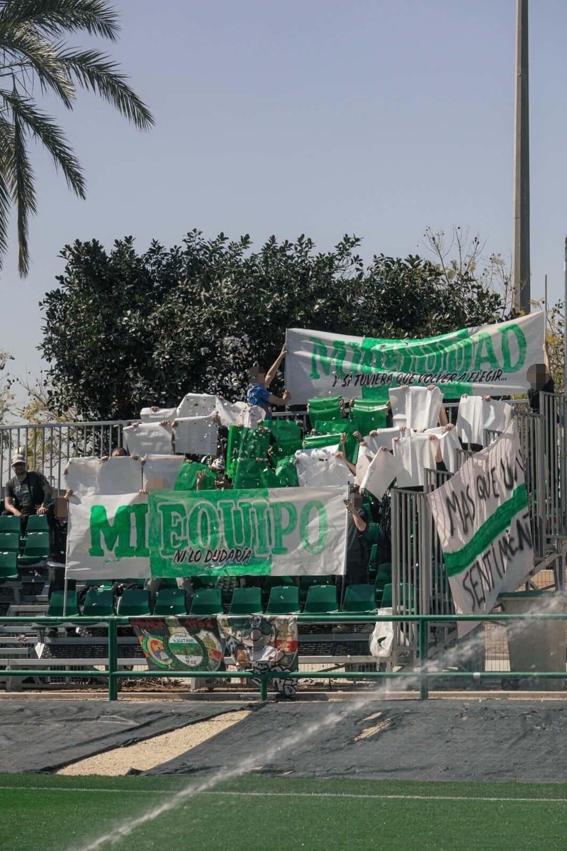 GRADA B pro tweet media