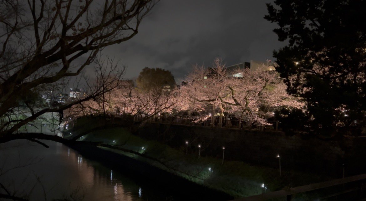 小枝🌳 tweet media