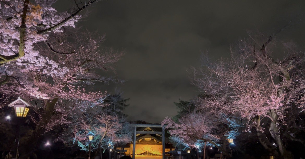 小枝🌳 tweet media