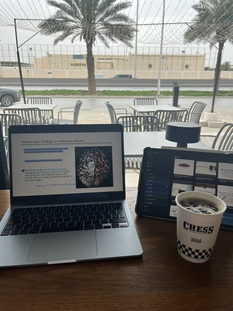 Hamad Saleh 🫀 tweet media