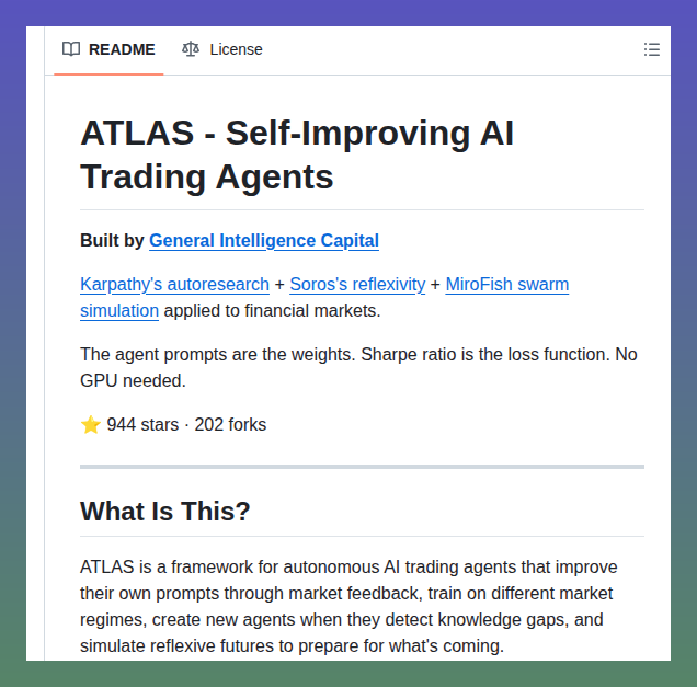 Tom Dörr tweet media