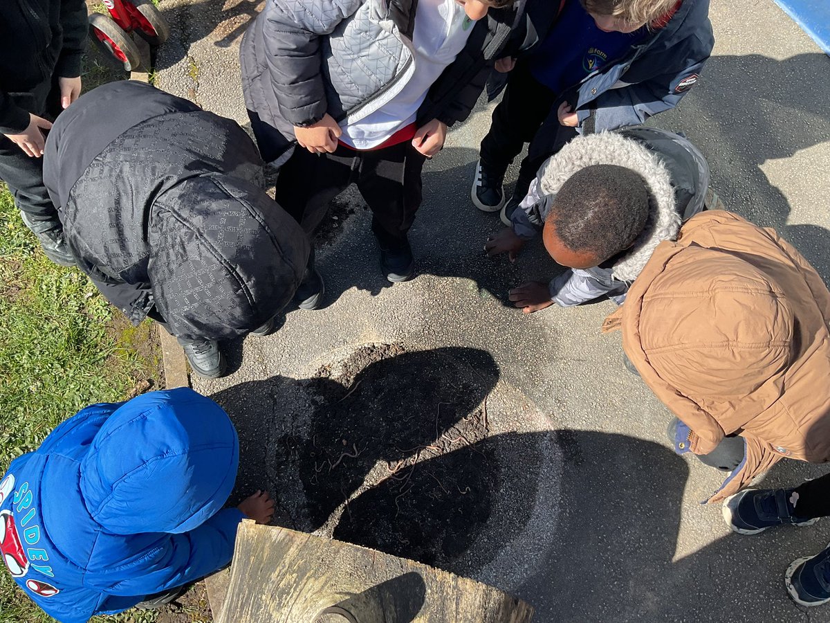 Hill Farm Primary tweet media