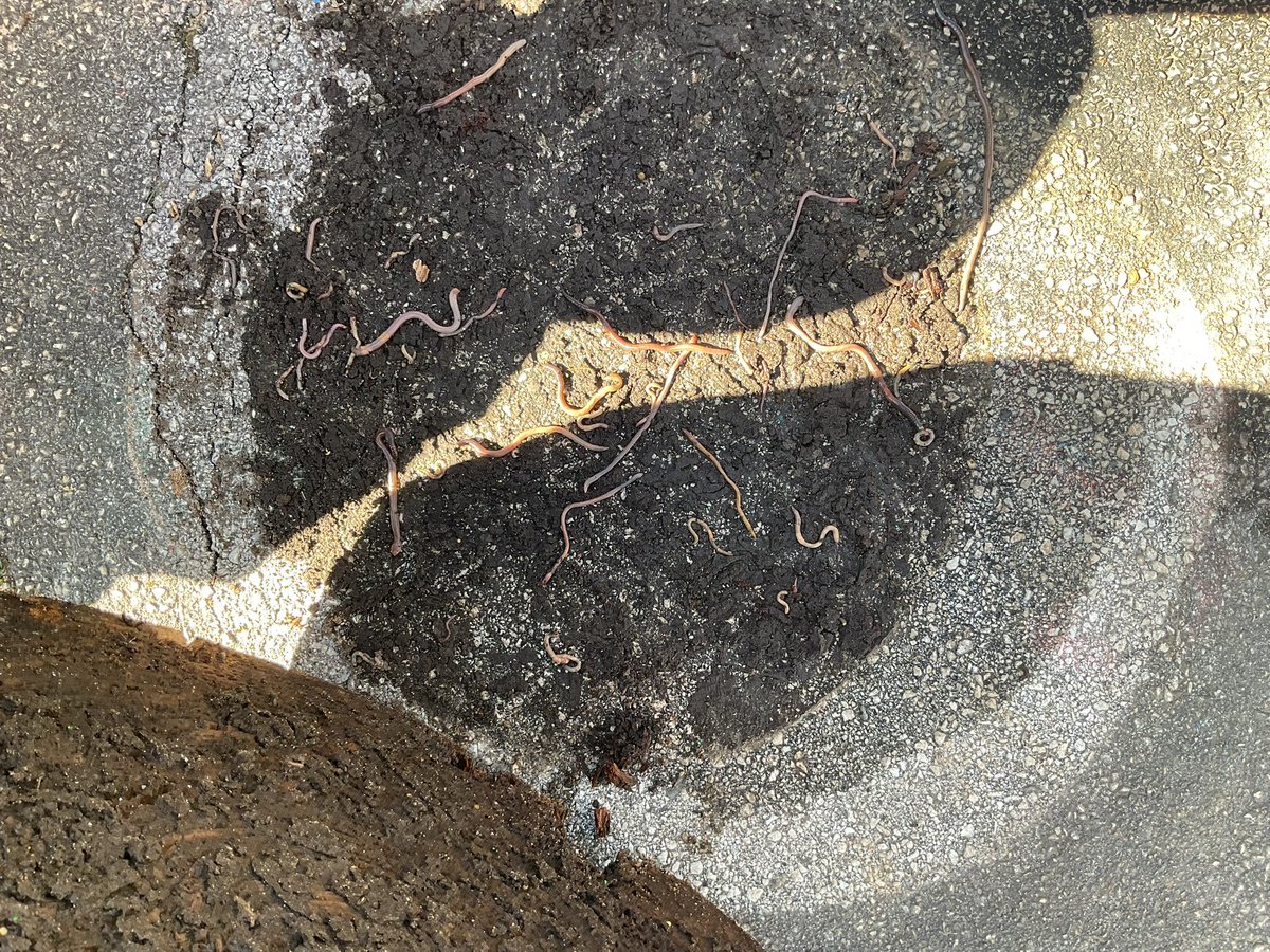 Hill Farm Primary tweet media