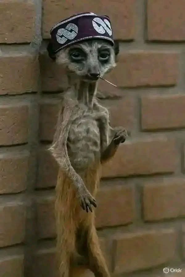 Blessed Nation tweet media