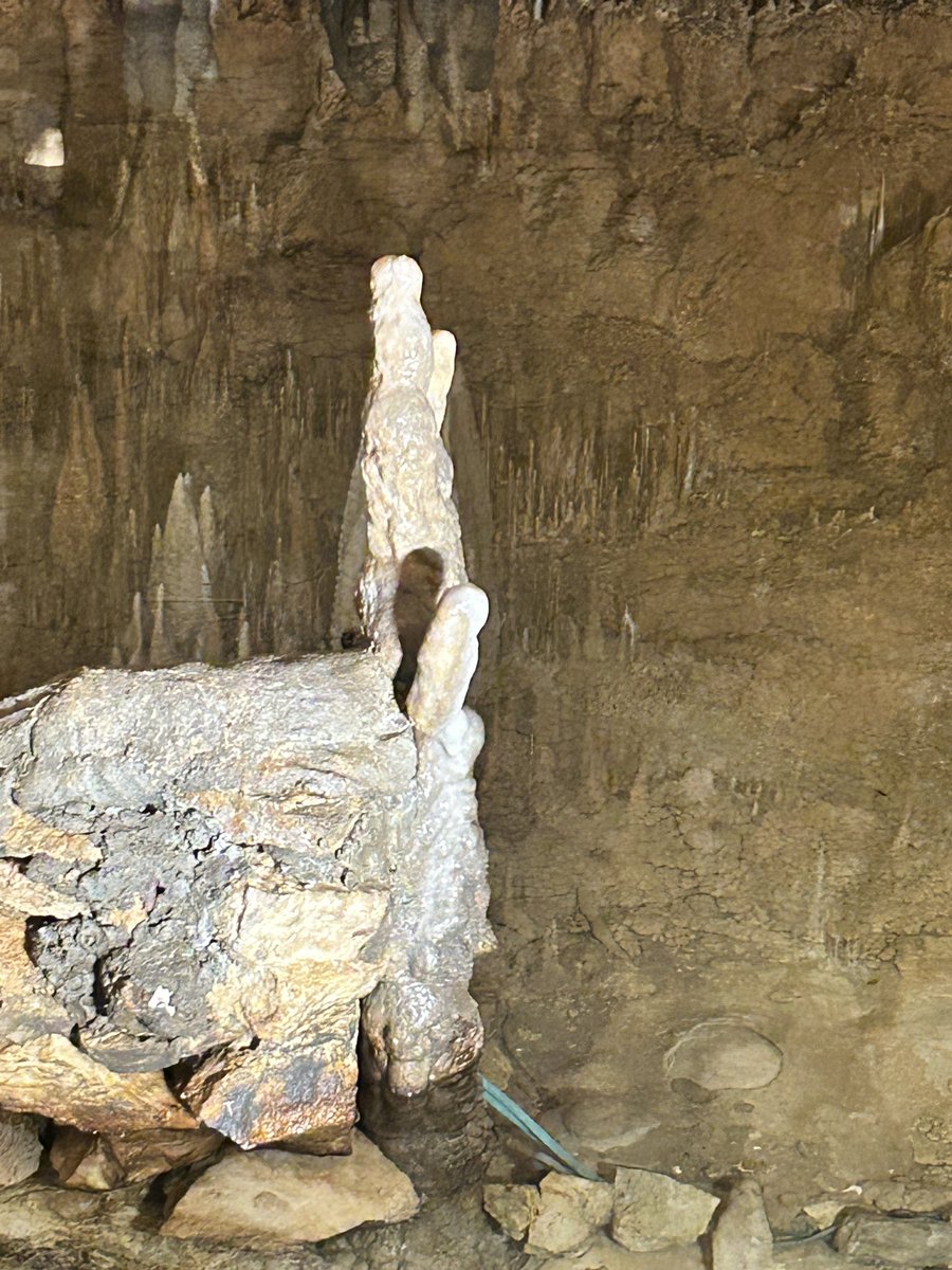 Meba Rackentyre tweet media